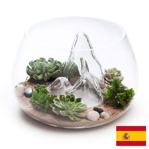Террариумы из Испании
