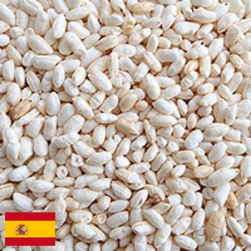 Воздушный рис из Испании
