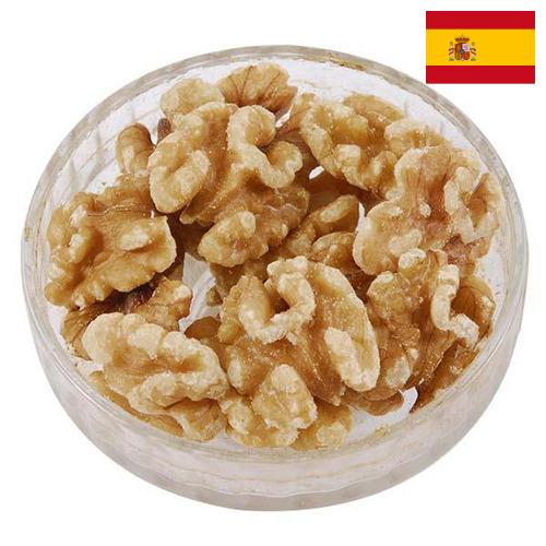 Ядра орехов из Испании
