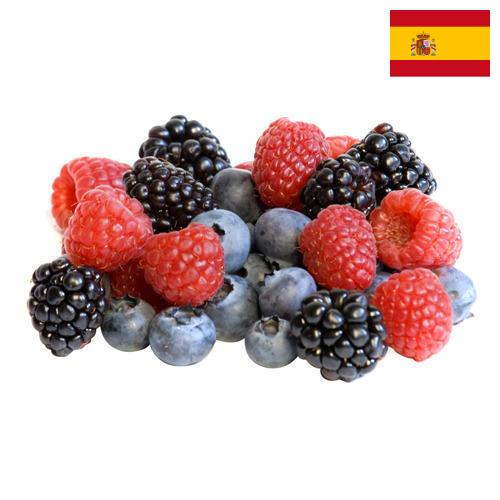 Ягоды замороженные из Испании