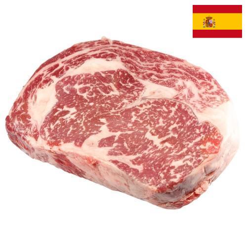замороженного мясо из Испании