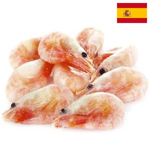 замороженные креветки из Испании
