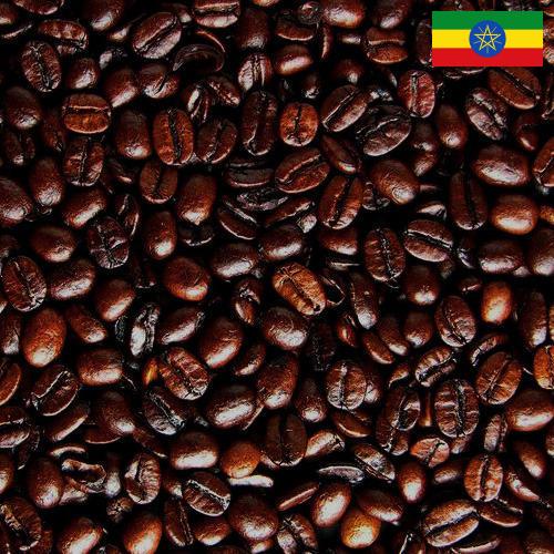 кофе в зернах обжаренный из Эфиопии