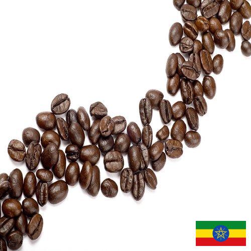 Кофе в зернах из Эфиопии