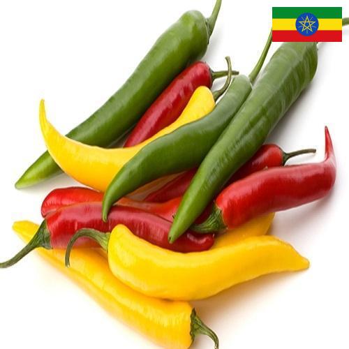 Перец чили из Эфиопии