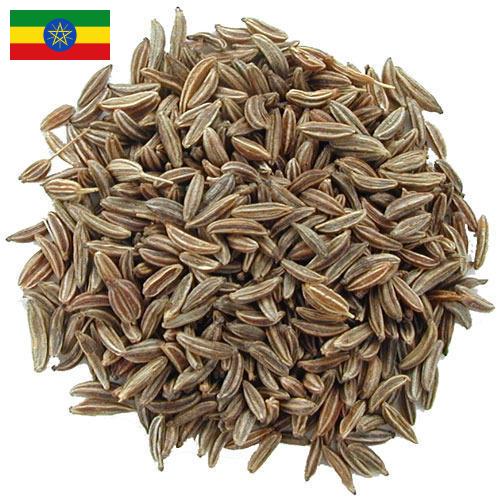 Семена тмина из Эфиопии