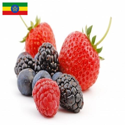 Ягоды из Эфиопии