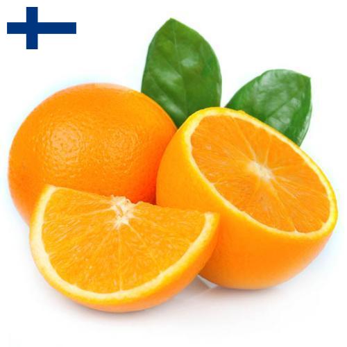 апельсины свежие из Финляндии