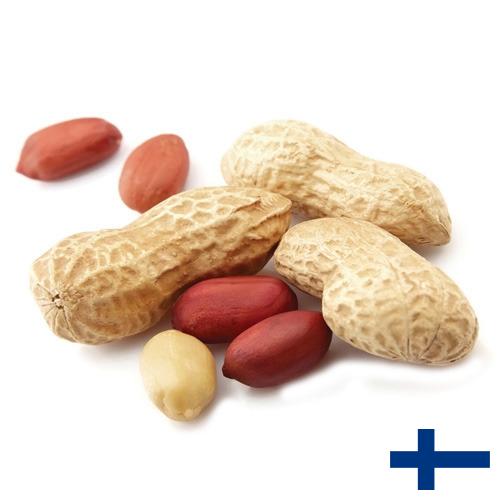 арахис очищенный из Финляндии