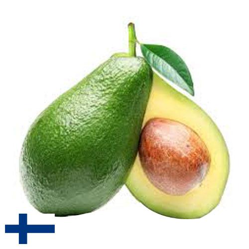 Авокадо из Финляндии