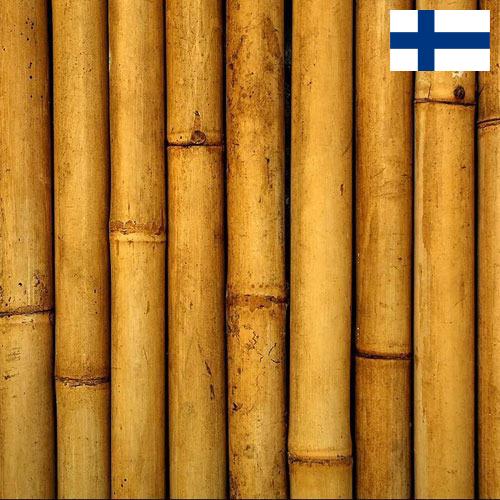 Бамбук из Финляндии