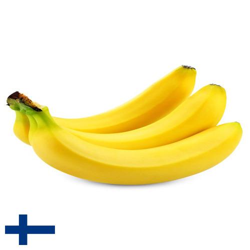 Бананы из Финляндии