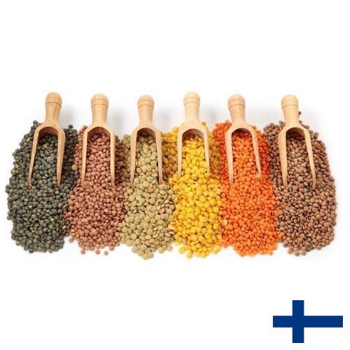 Бобовые культуры из Финляндии