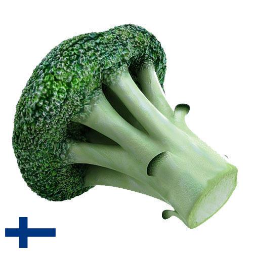 брокколи из Финляндии