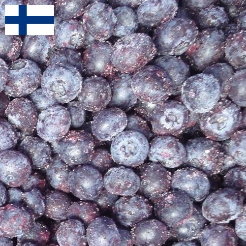 черника замороженная из Финляндии