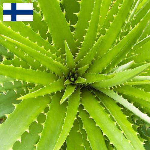 экстракты растений из Финляндии