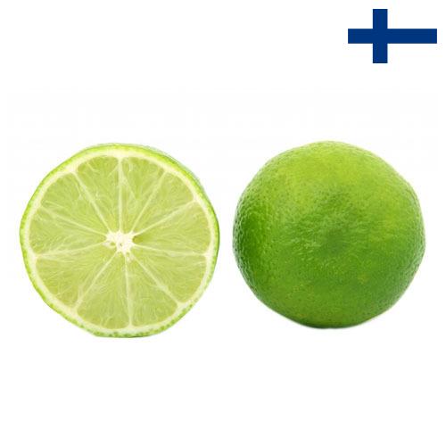 Известь из Финляндии