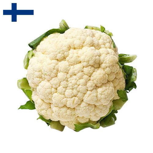 Капуста цветная из Финляндии