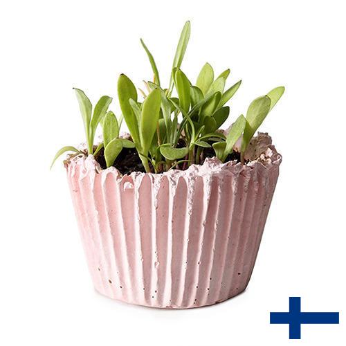 Кашпо из Финляндии