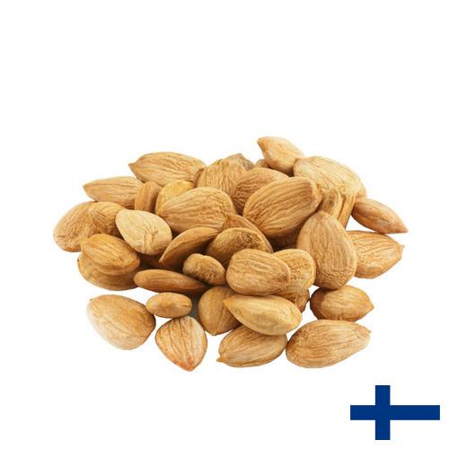 косточки абрикоса из Финляндии