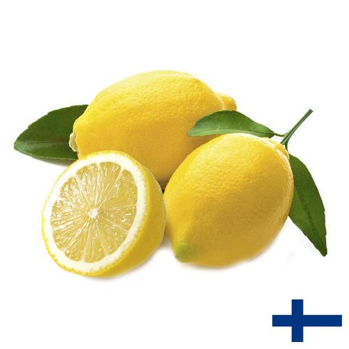 лимон свежий из Финляндии