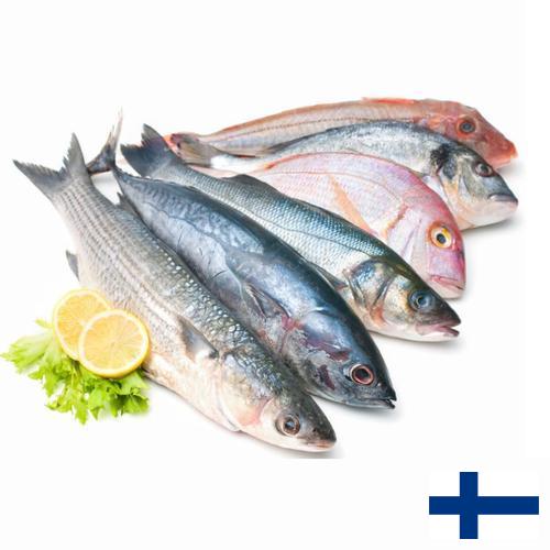 Морепродукты из Финляндии