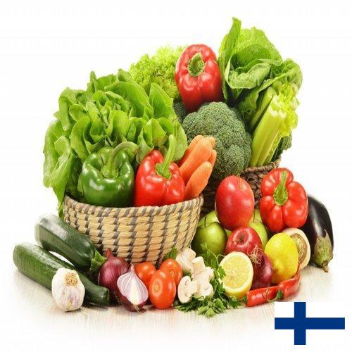 Овощи свежие из Финляндии