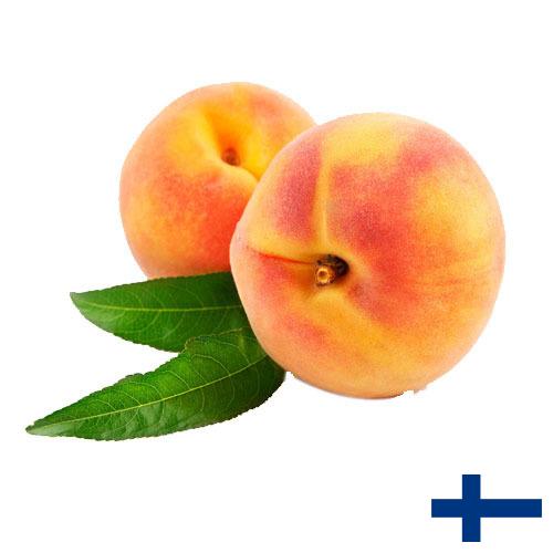 Персики из Финляндии