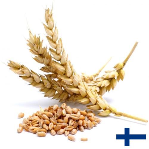 Пшеница из Финляндии