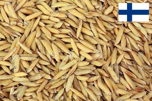 рис сырец из Финляндии