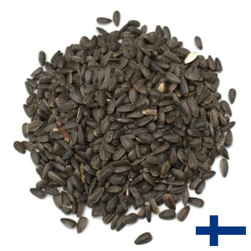 Семена цветов из Финляндии