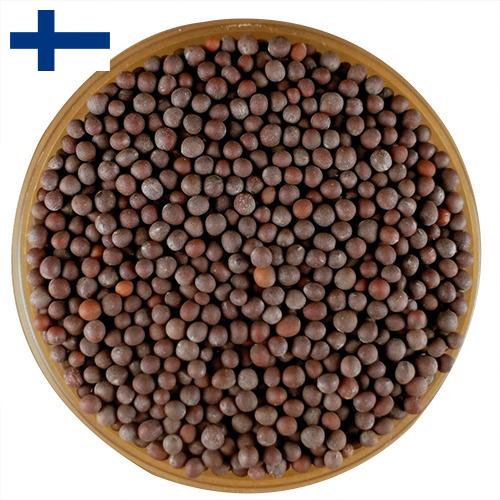 семена горчица из Финляндии