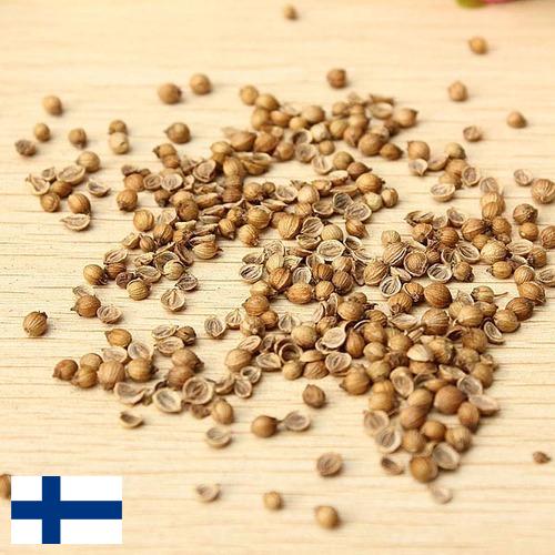 Семена овощей из Финляндии