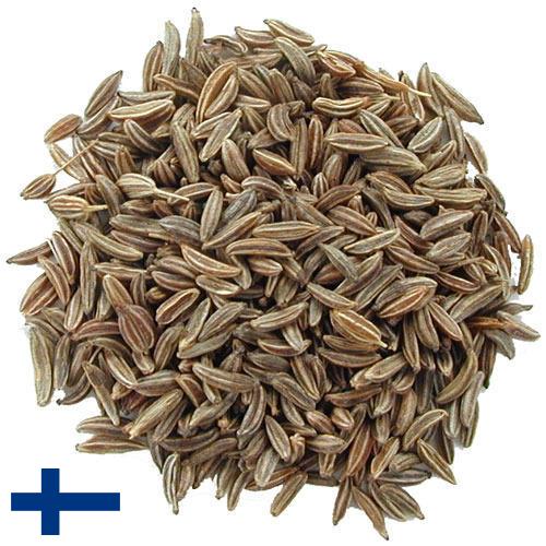 Семена тмина из Финляндии