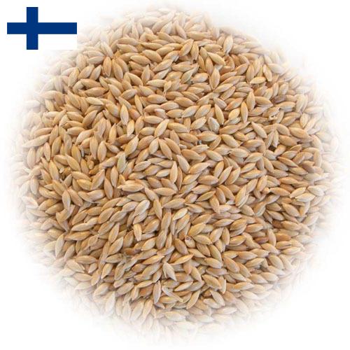 семена трав из Финляндии