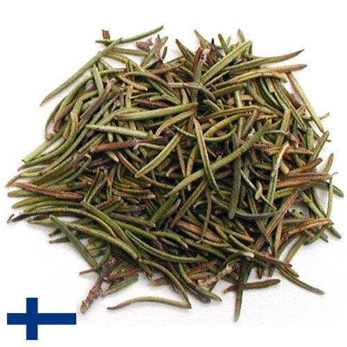 Травы сушеные из Финляндии