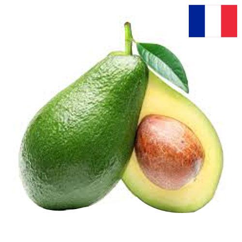 Авокадо из Франции