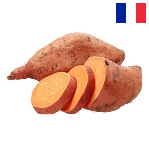 батат из Франции