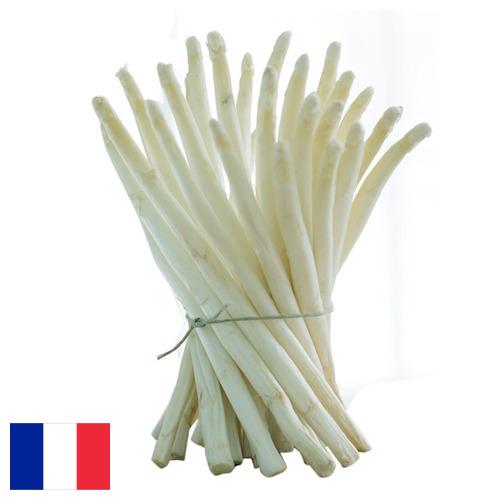 белая спаржа из Франции