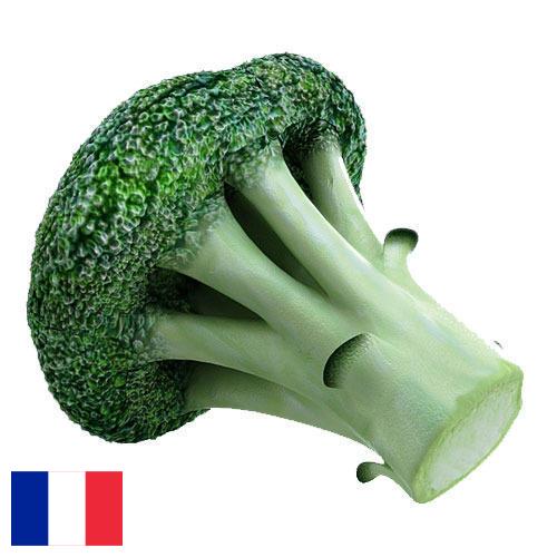 брокколи из Франции