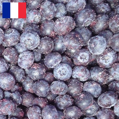 черника замороженная из Франции