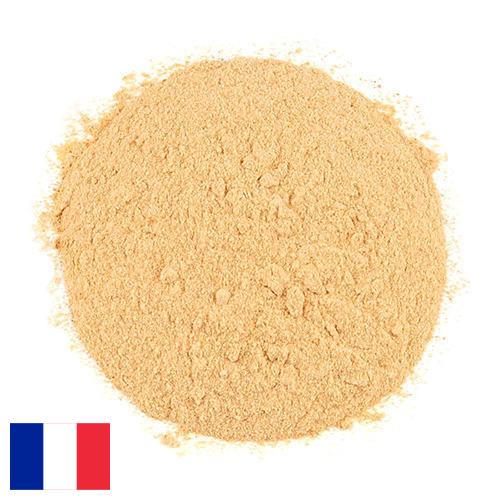 чеснок порошок из Франции