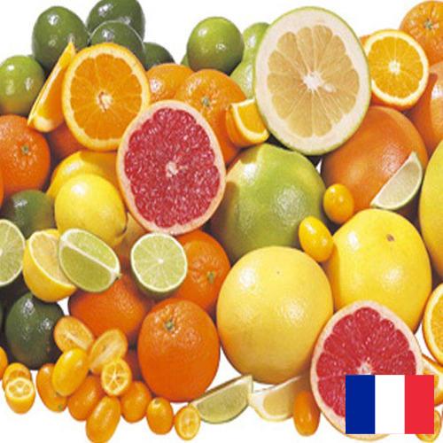 Цитрусовые фрукты из Франции