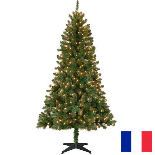 елки из Франции