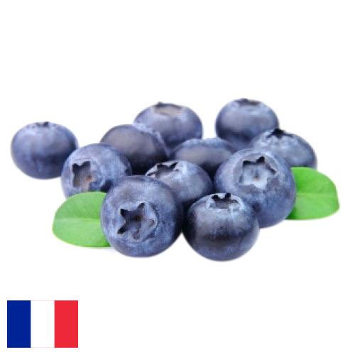 Голубика из Франции