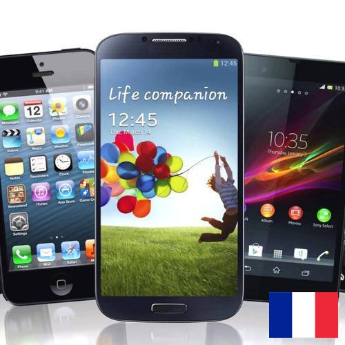 Иммобилайзеры из Франции