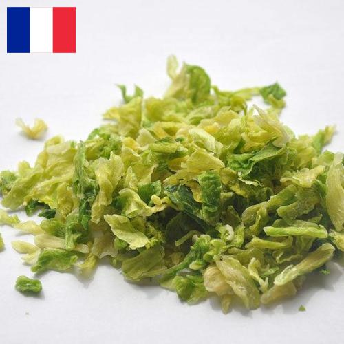 капуста сушеная из Франции