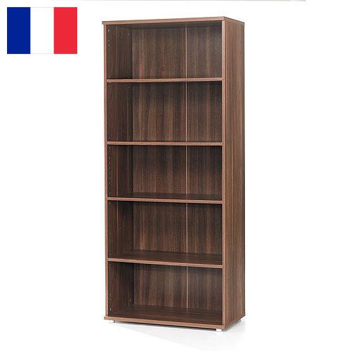 Книжные шкафы из Франции