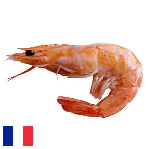 Креветки из Франции