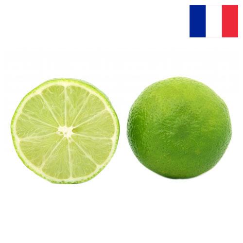 лайм из Франции